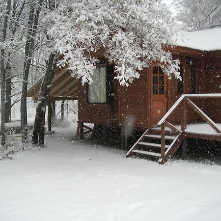 Cabanas Roble Quemado Las Trancas Eksteriør billede