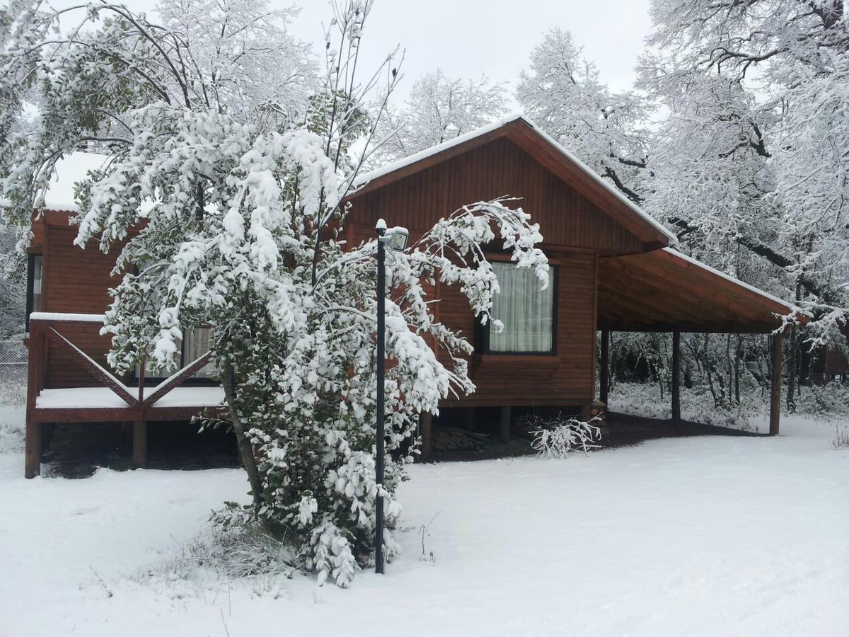 Cabanas Roble Quemado Las Trancas Eksteriør billede