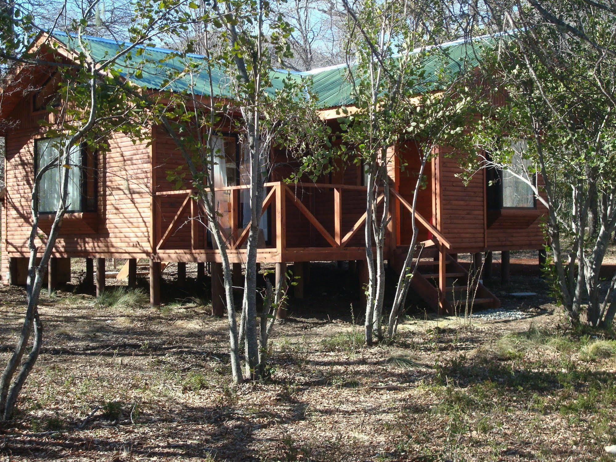 Cabanas Roble Quemado Las Trancas Eksteriør billede