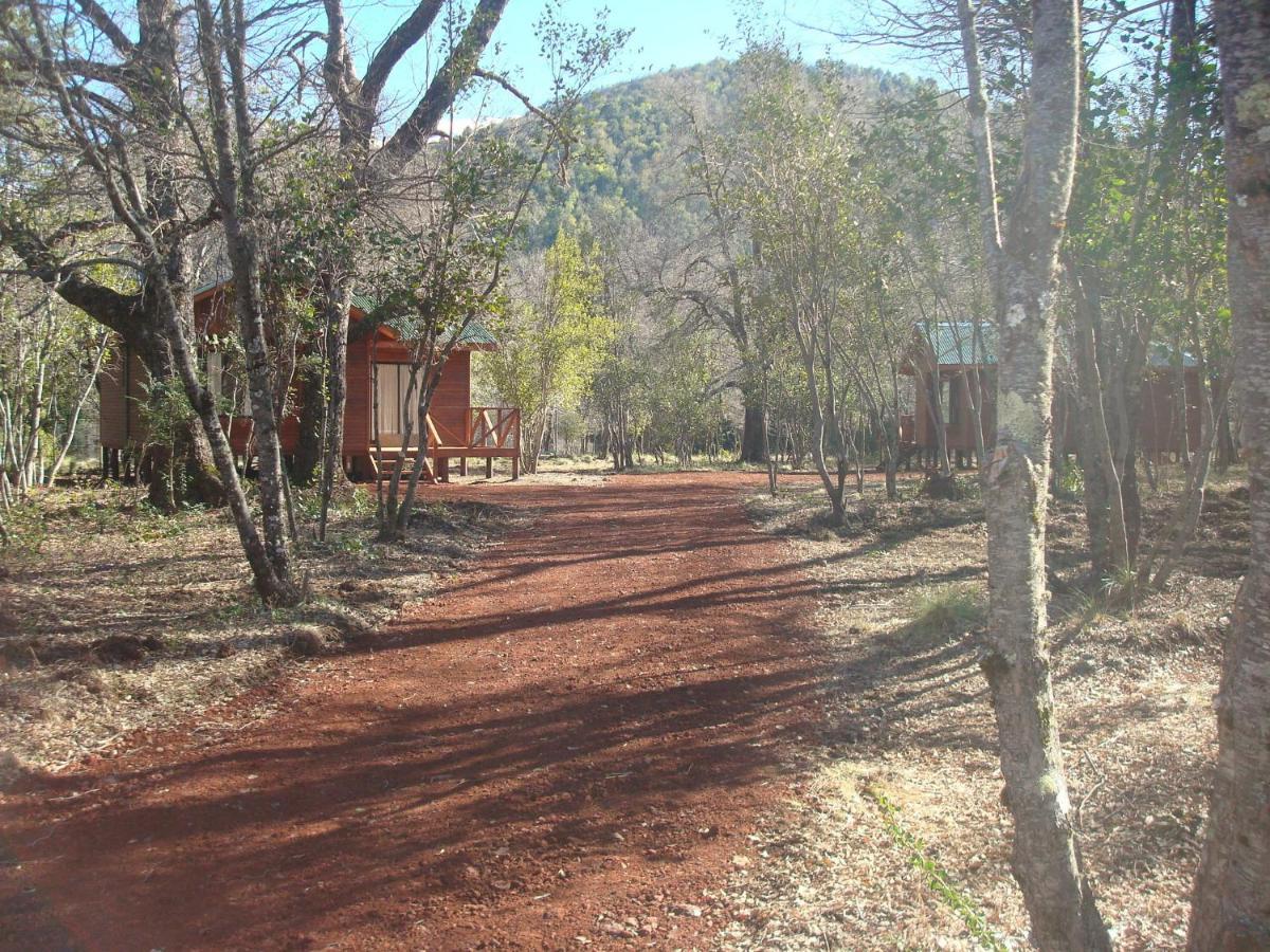 Cabanas Roble Quemado Las Trancas Værelse billede