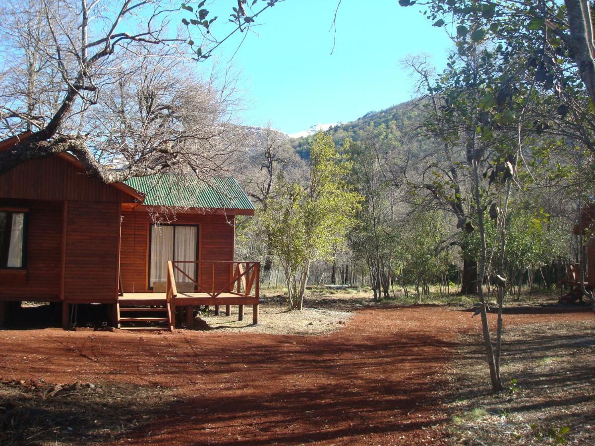 Cabanas Roble Quemado Las Trancas Værelse billede